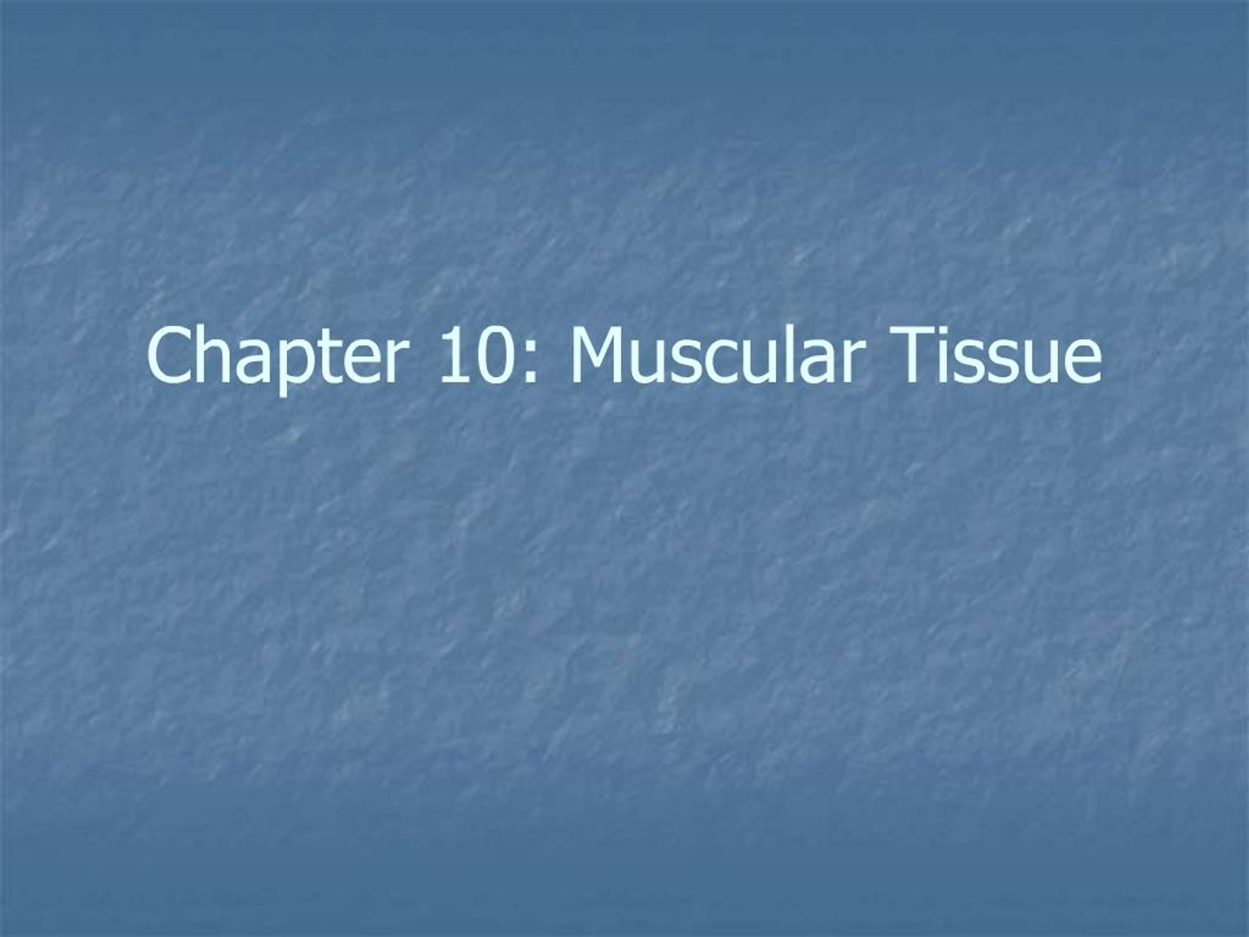 PPT - Chapter 10: Muscular Tissue PowerPoint Presentation, free ...
