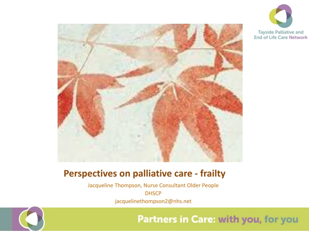 perspectives on palliative care frailty