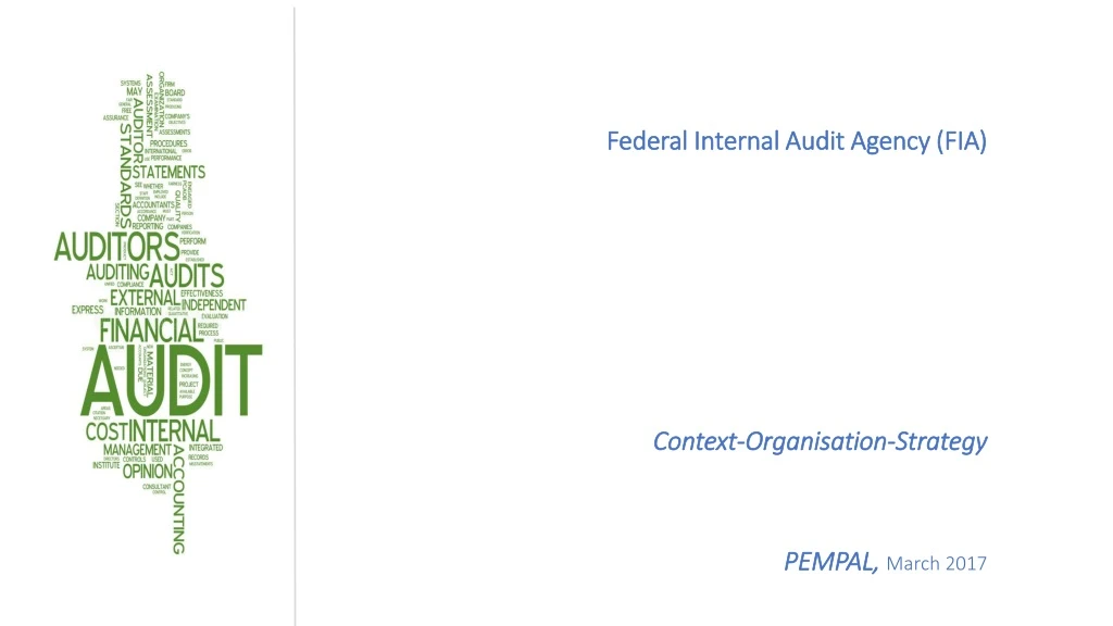 federal internal audit agency fia context organisation strategy pempal march 2017