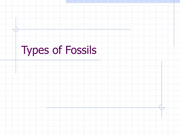 Types of Fossils