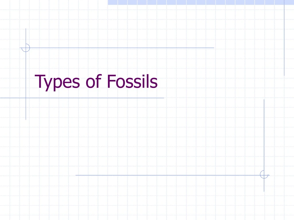 types of fossils