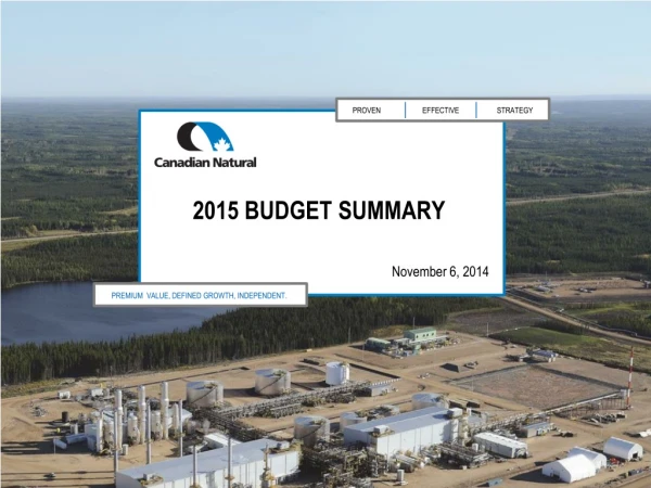 2015 Budget summary