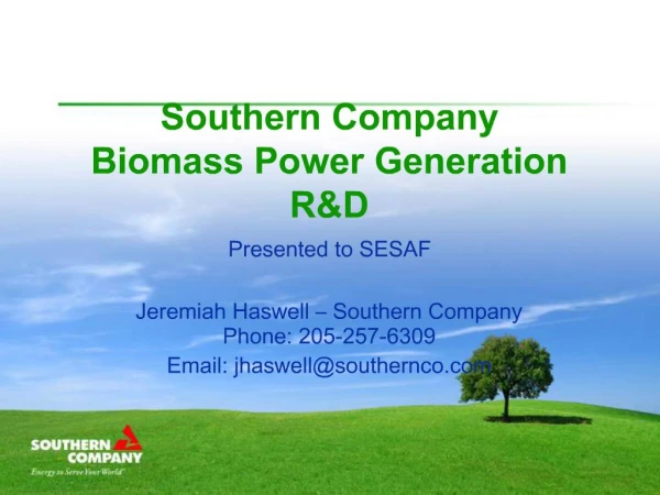 Southern Company Biomass Power Generation RD