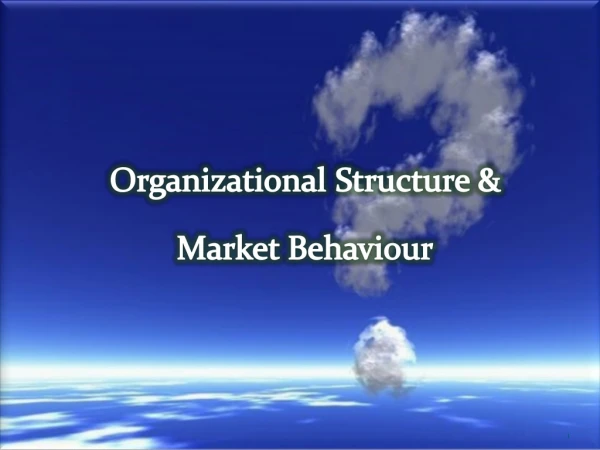 Organizational Structure &amp; Market Behaviour