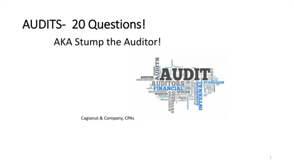 AUDITS- 20 Questions!