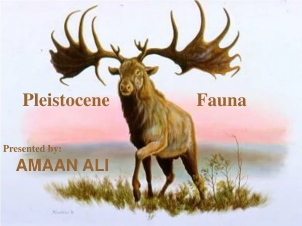 Pleistocene Fauna