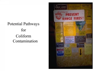 Potential Pathways for Coliform Contamination - slide 1