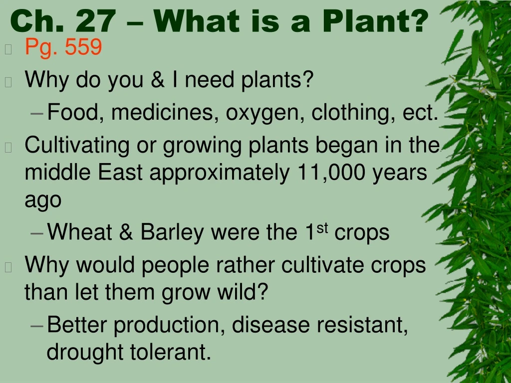 ch 27 what is a plant