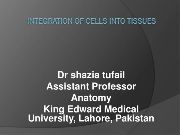 INTEGRATION OF CELLS INTO TISSUES