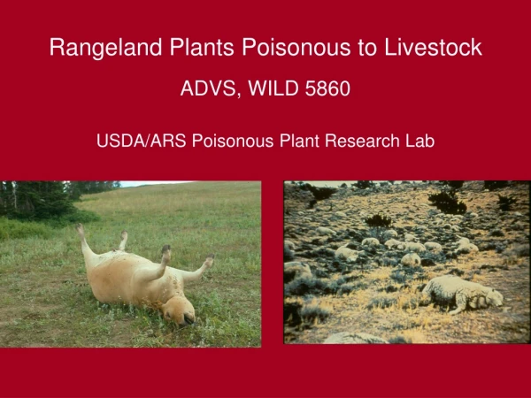 Rangeland Plants Poisonous to Livestock