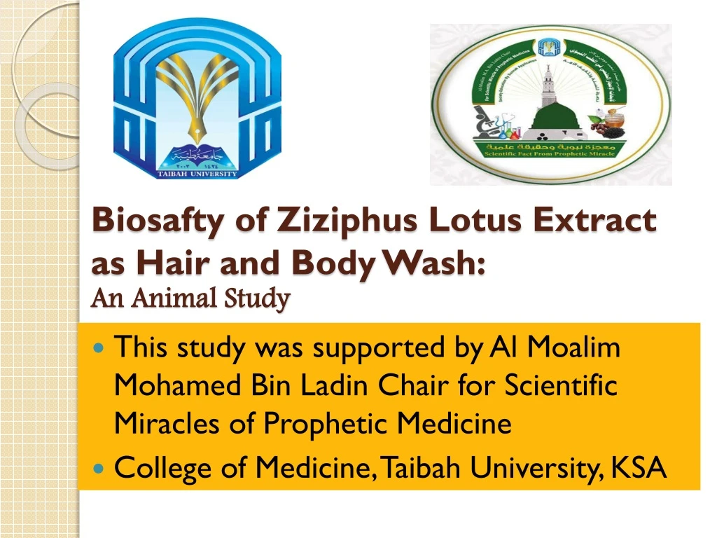 biosafty of ziziphus lotus extract as hair and body wash an animal study