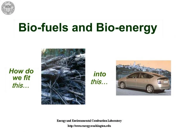 Bio-fuels and Bio-energy