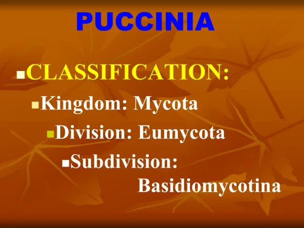 CLASSIFICATION: Kingdom: Mycota Division: Eumycota Subdivision: 							Basidiomycotina