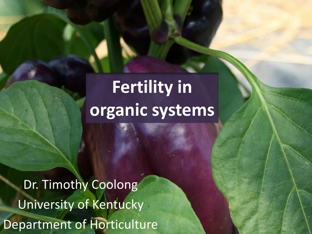 fertility in organic systems