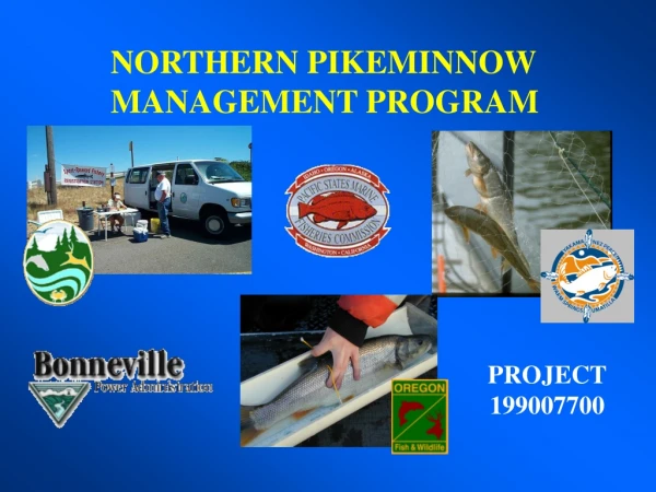 NORTHERN PIKEMINNOW MANAGEMENT PROGRAM