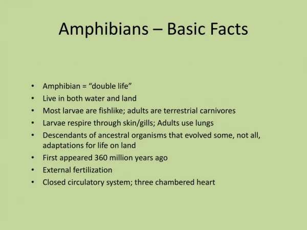 Amphibians – Basic Facts