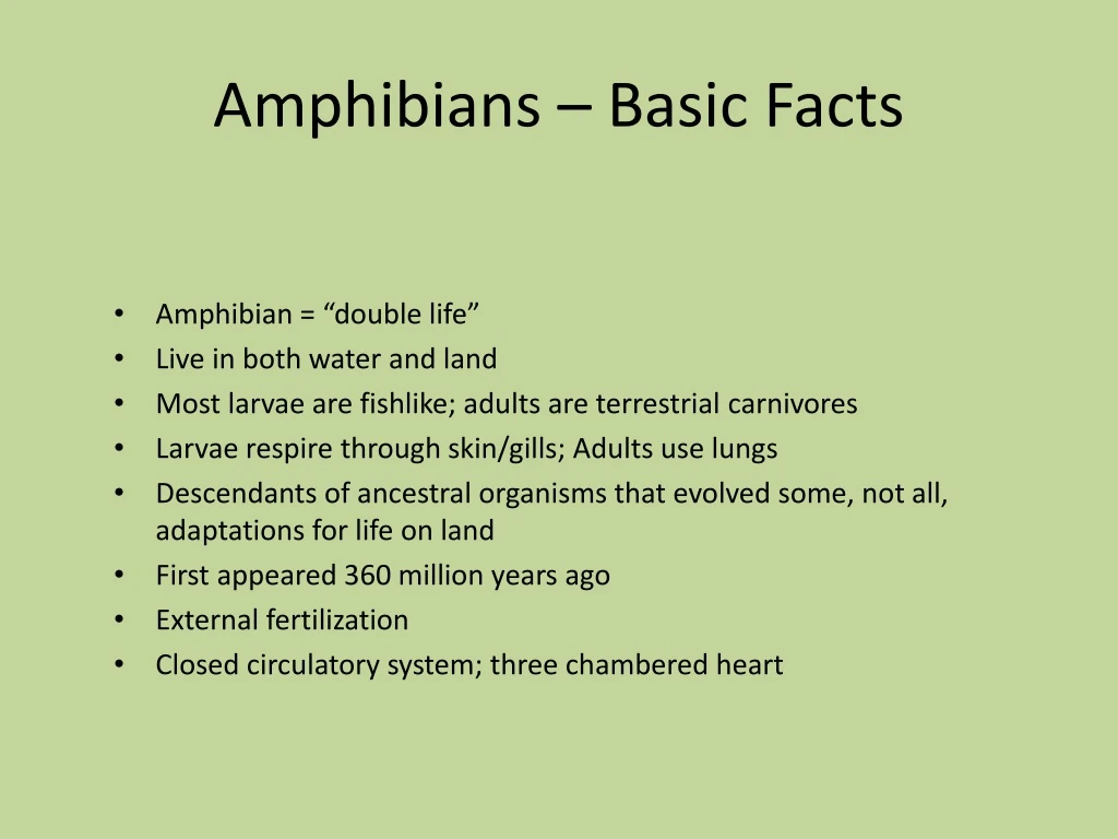 amphibians basic facts