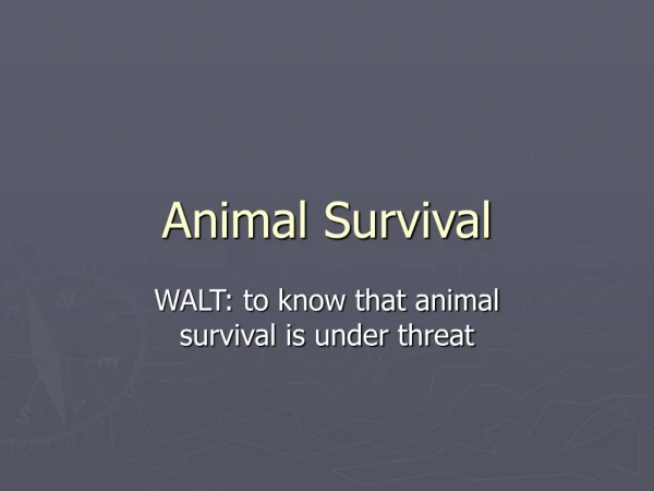 Animal Survival