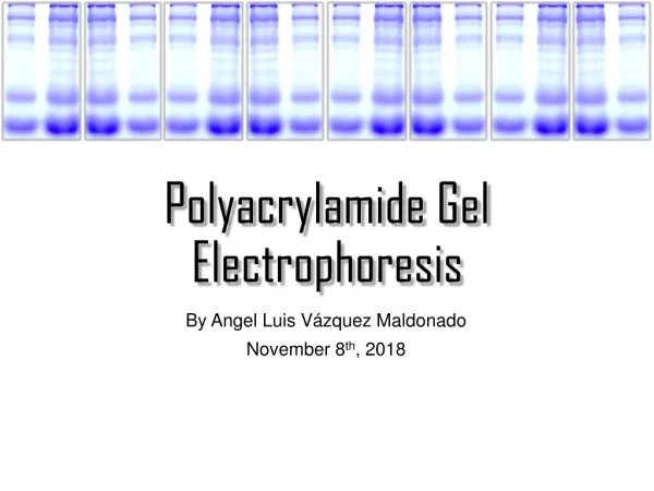 Polyacrylamide Gel Electrophoresis