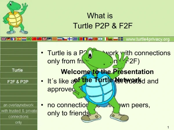Turtle P2P F2F