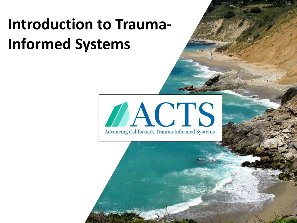 introduction to trauma informed systems