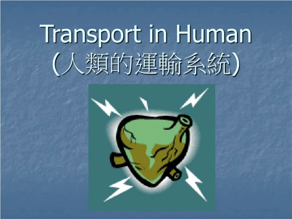 Transport in Human ( ??????? )