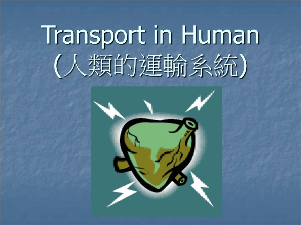 transport in human