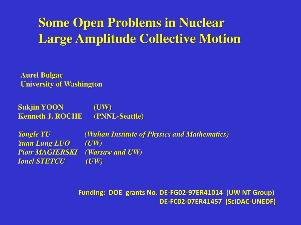 some open problems in nuclear large amplitude