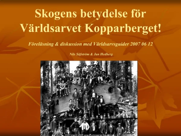 Skogens betydelse f r V rldsarvet Kopparberget F rel sning diskussion med V rldsarvsguider 2007 06 12 Nils S fstr m