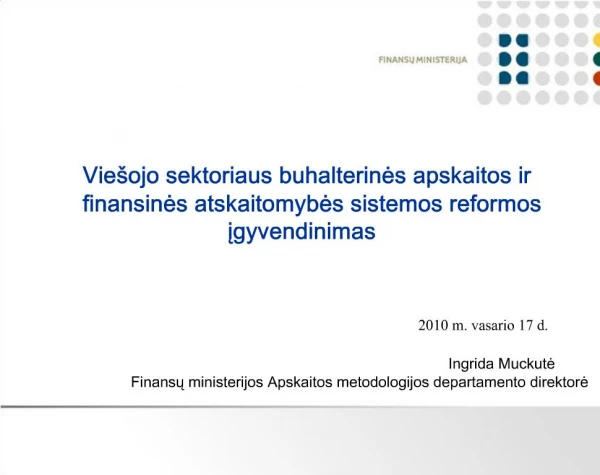 Vie ojo sektoriaus buhalterines apskaitos ir finansines atskaitomybes sistemos reformos igyvendinimas