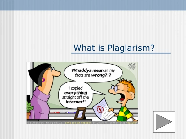 What is Plagiarism ?