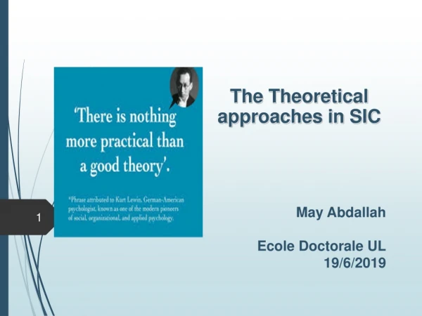 The Theoretical approaches in SIC