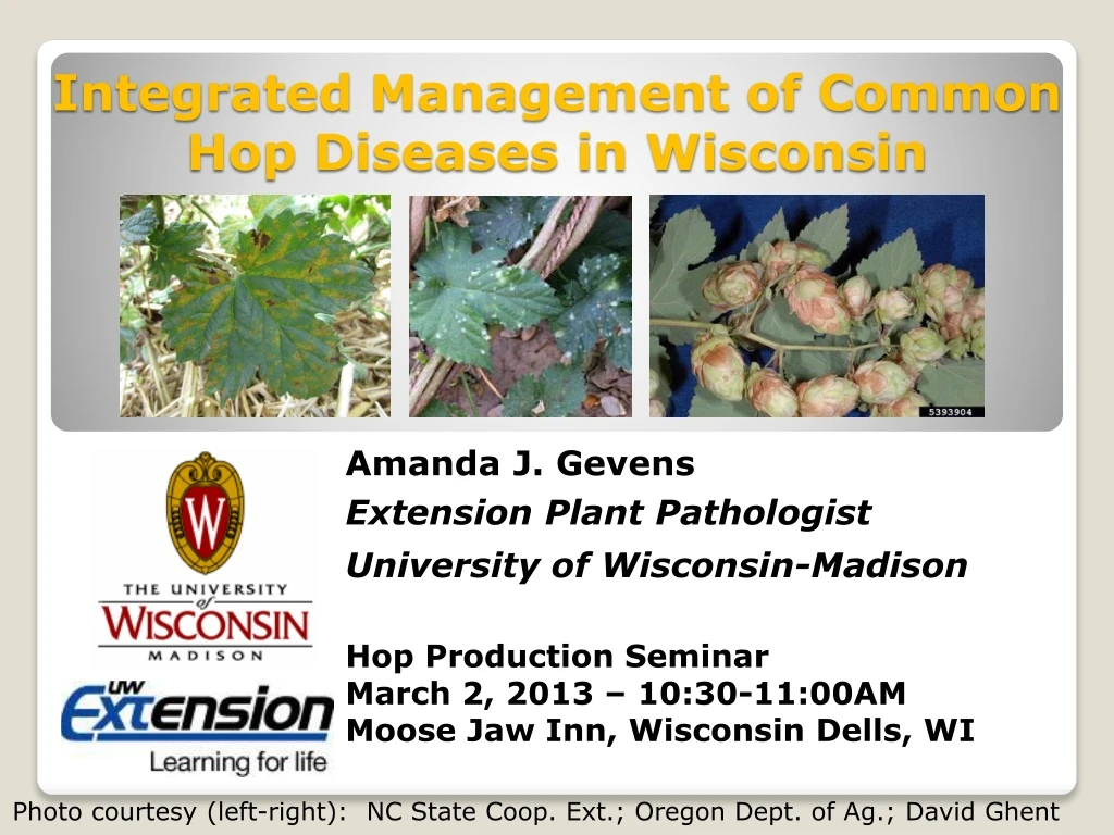 integrated management of common hop diseases in wisconsin
