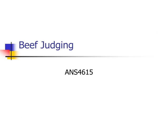Beef Judging