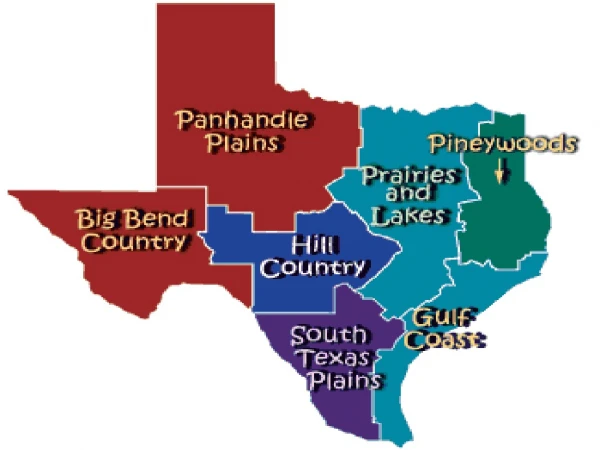 Piney Woods East Texas region