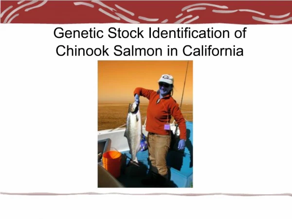 Genetic Stock Identification of Chinook Salmon in California
