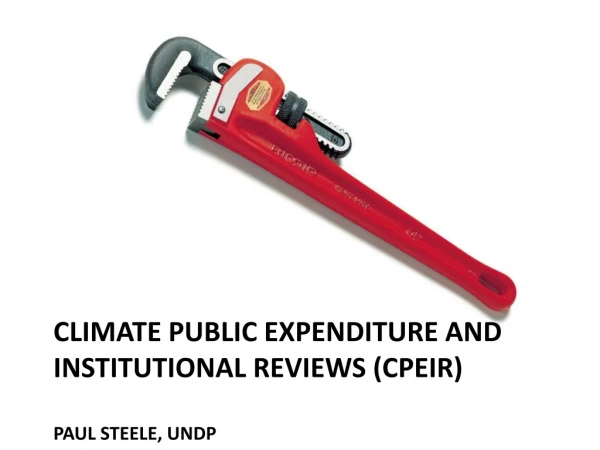 CLIMATE PUBLIC EXPENDITURE AND INSTITUTIONAL REVIEWS (CPEIR) paul Steele, UNDP