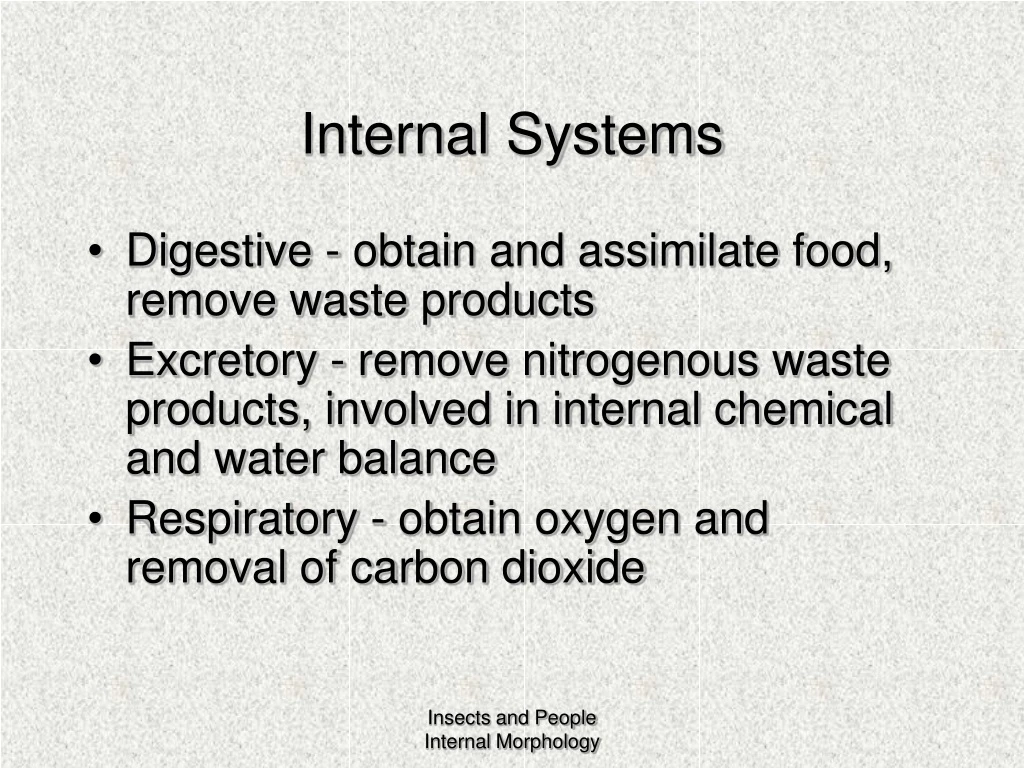 internal systems