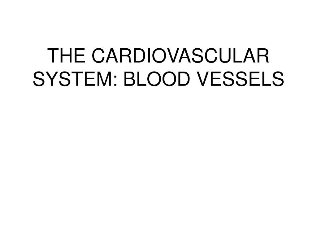 the cardiovascular system blood vessels
