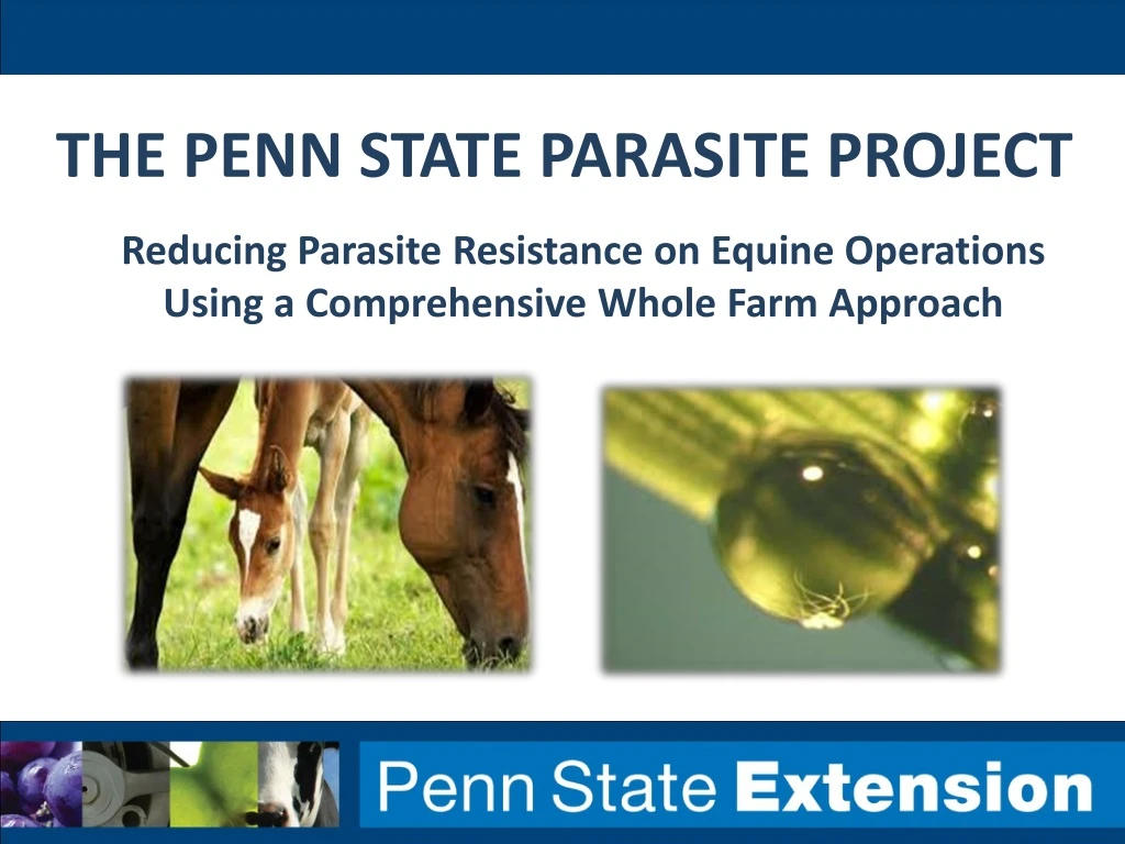 the penn state parasite project