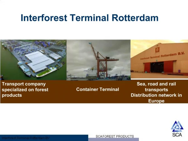 Interforest Terminal Rotterdam