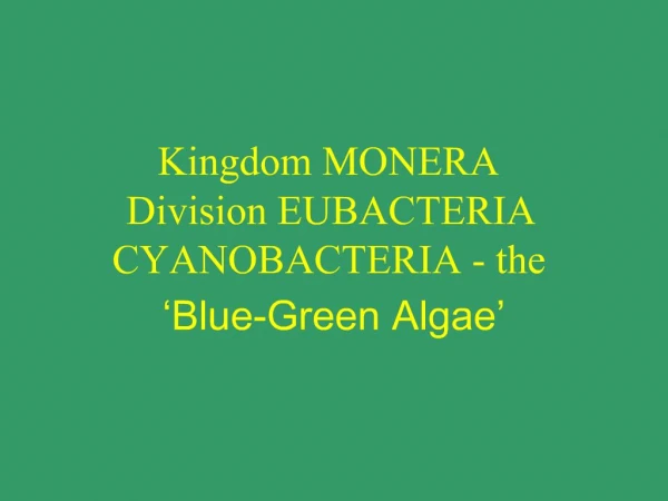 Kingdom MONERA Division EUBACTERIA CYANOBACTERIA - the Blue-Green Algae