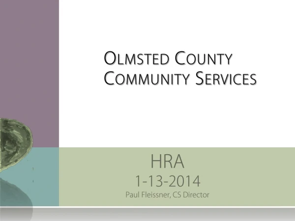 Olmsted County Community Services