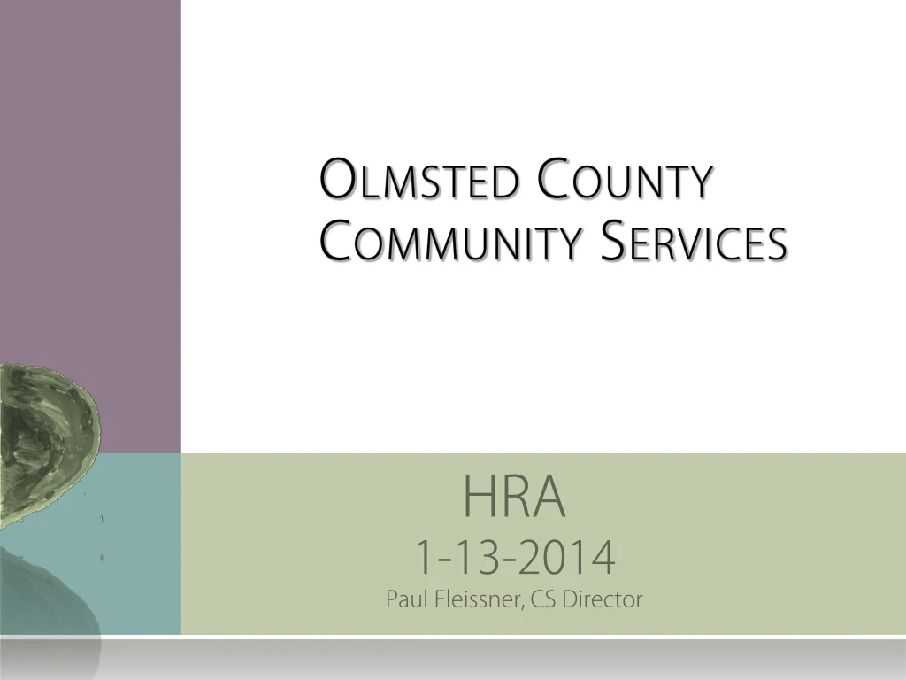 olmsted county community services