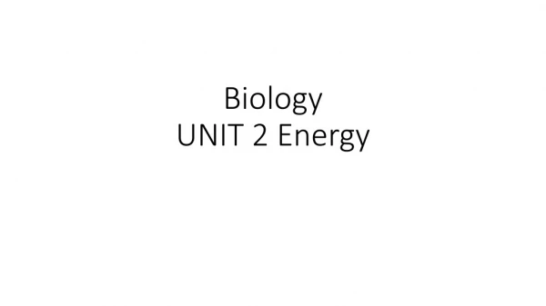 Biology UNIT 2 Energy