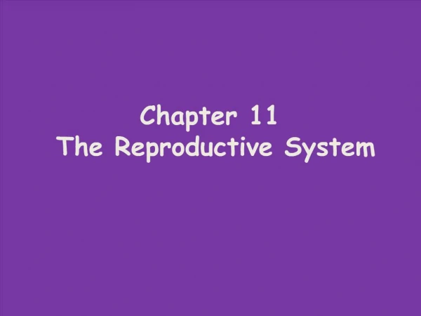 Chapter 11 The Reproductive System