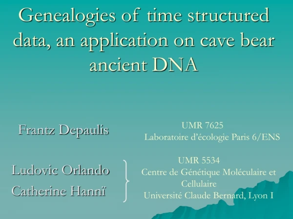 Genealogies of time structured data, an application on cave bear ancient DNA