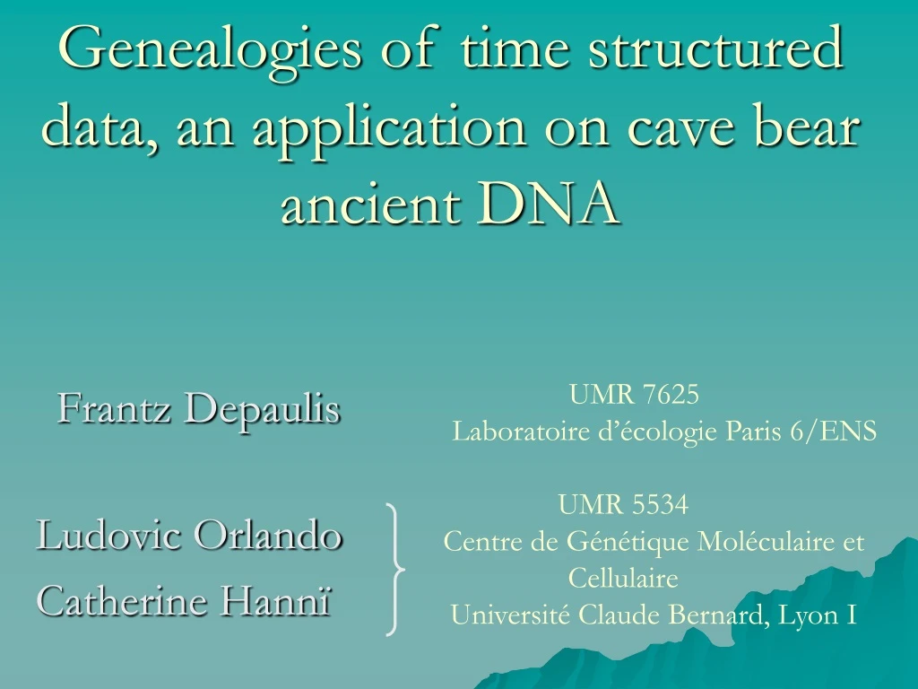 genealogies of time structured data an application on cave bear ancient dna