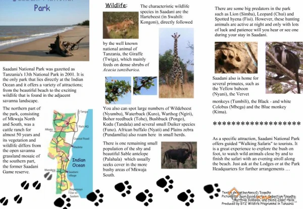 Download - GTZ Wildlife Programme in Tanzania