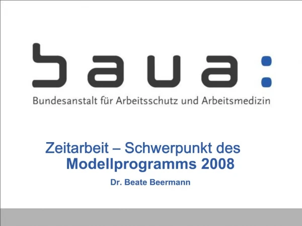 Zeitarbeit Schwerpunkt des Modellprogramms 2008 Dr. Beate Beermann
